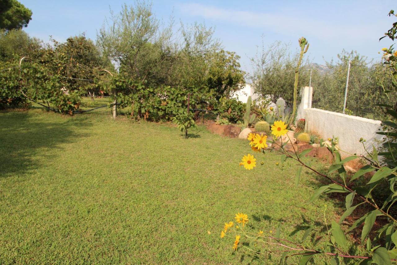 Di Campagna Vicino Al Mare Orosei